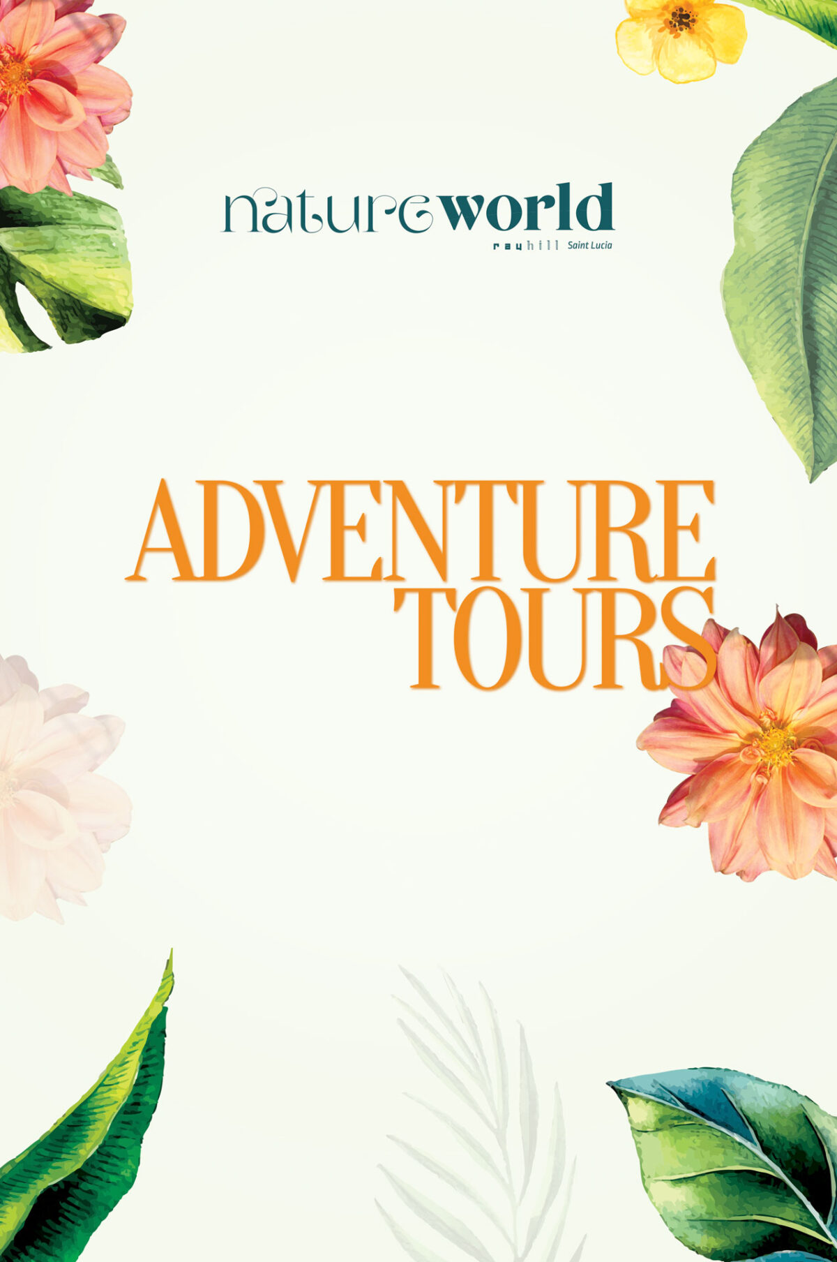 Nature World – Adventure Tours