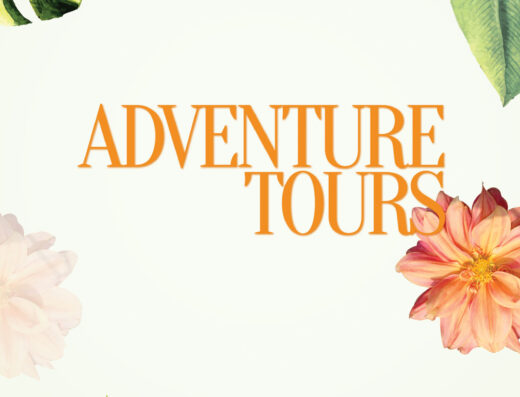 Nature World – Adventure Tours