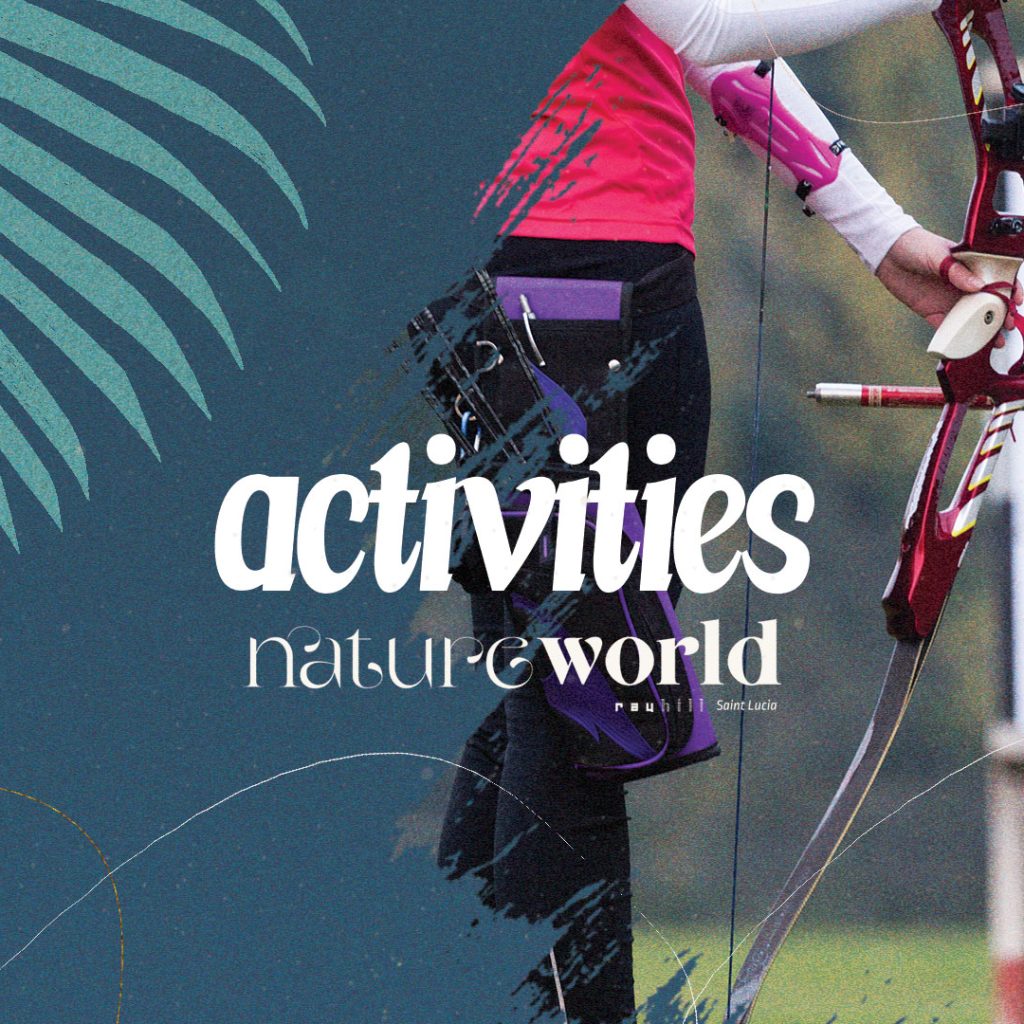 Activities