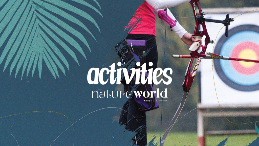 Activities