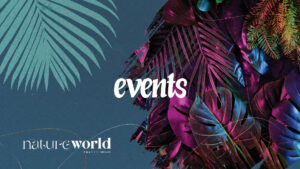 Events