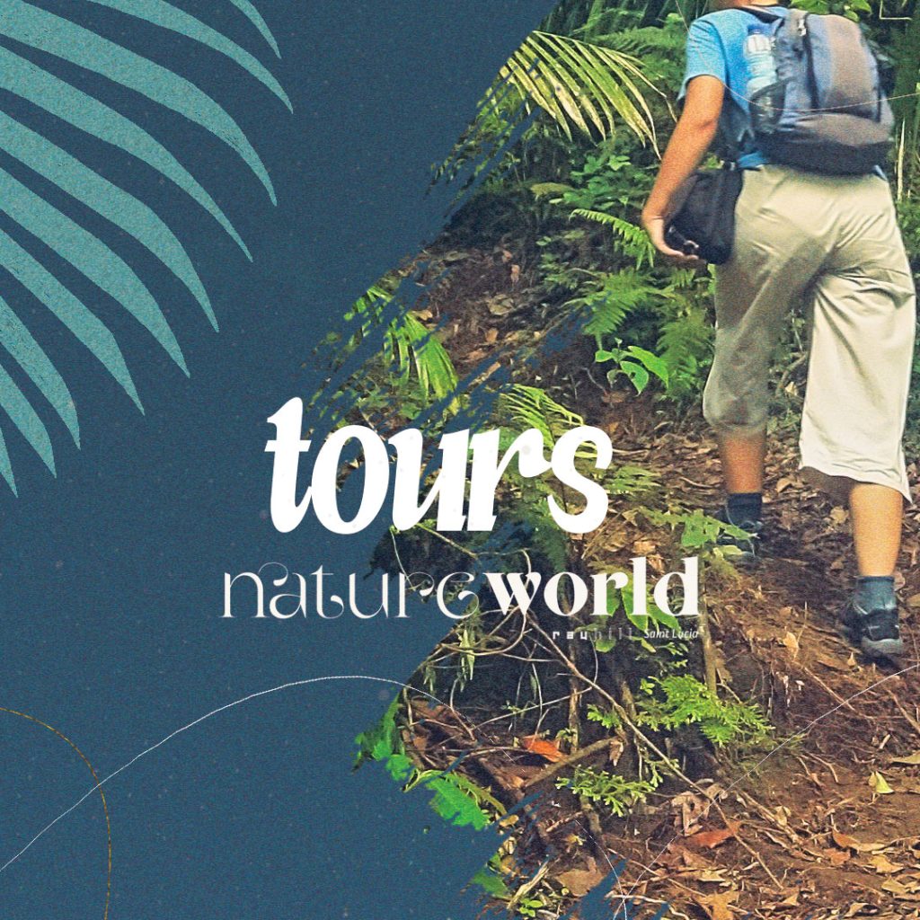Tours
