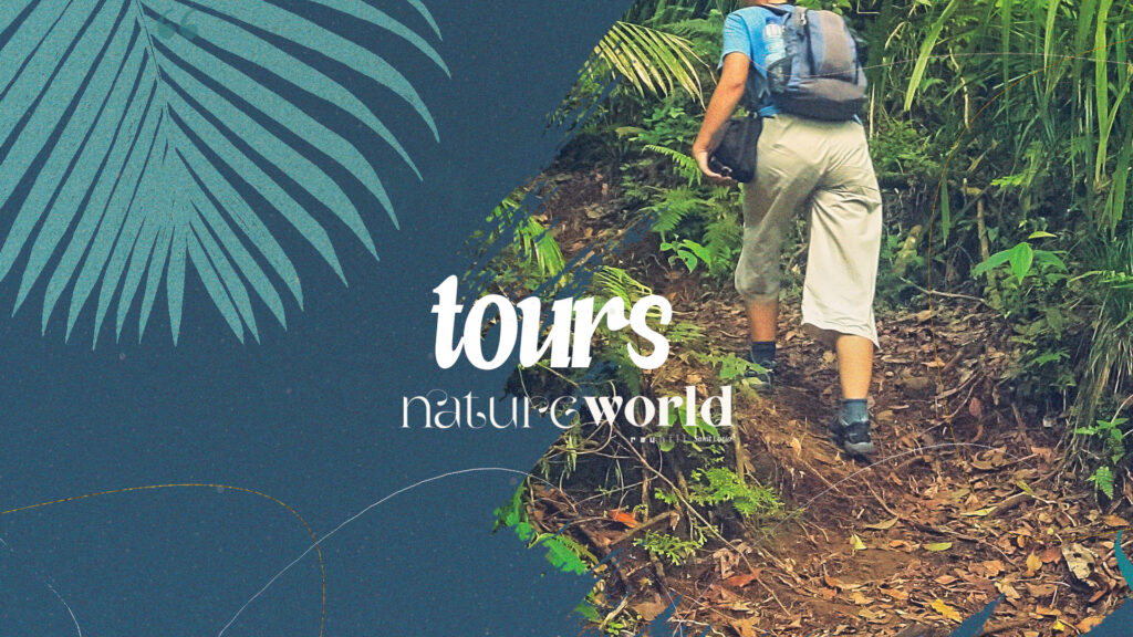 Tours
