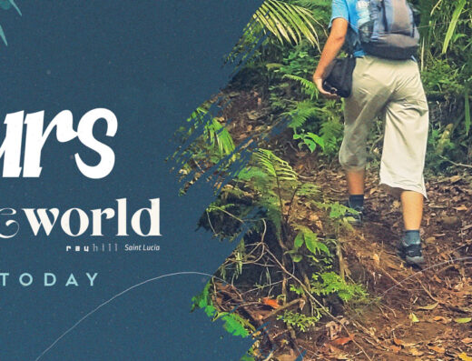 Nature World – Adventure Tours