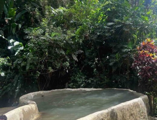 Nature World – Adventure Tours